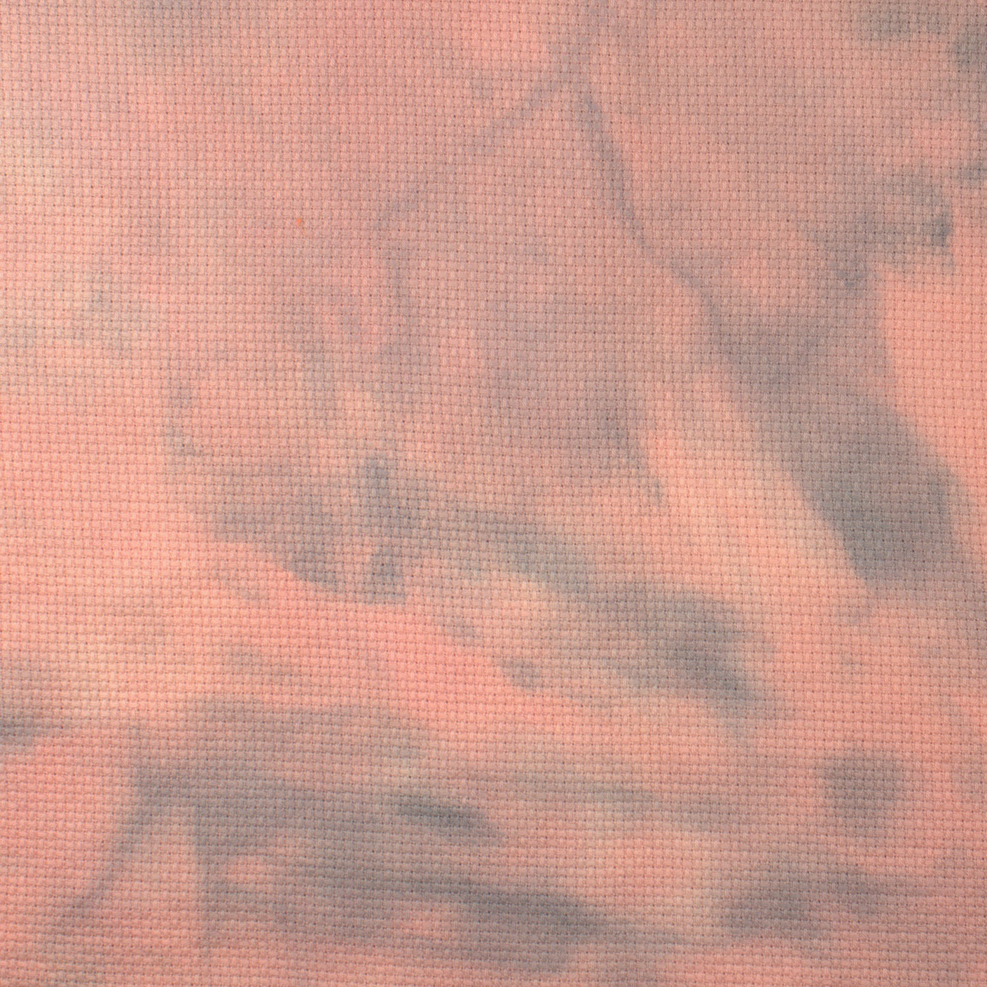 14 Count Eek! Aida Fabric 8x12