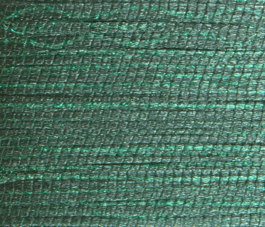 Rainbow Gallery Petite Frosty Rays PY027 Sea Green Gloss