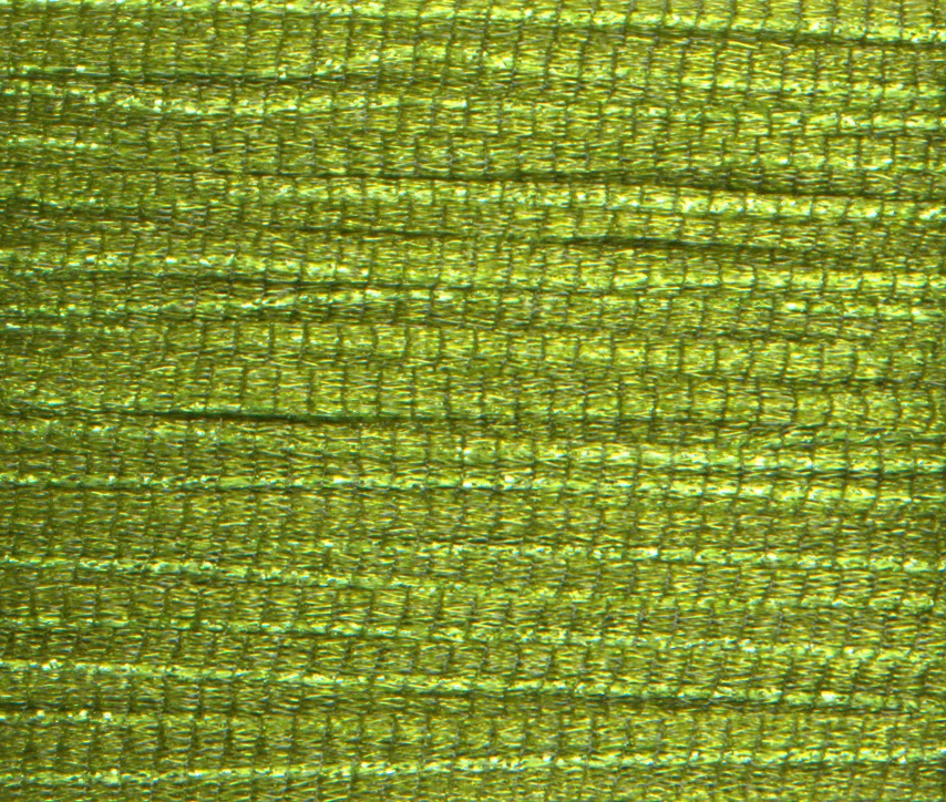 Rainbow Gallery Petite Frosty Rays PY084 Medium Olive Green