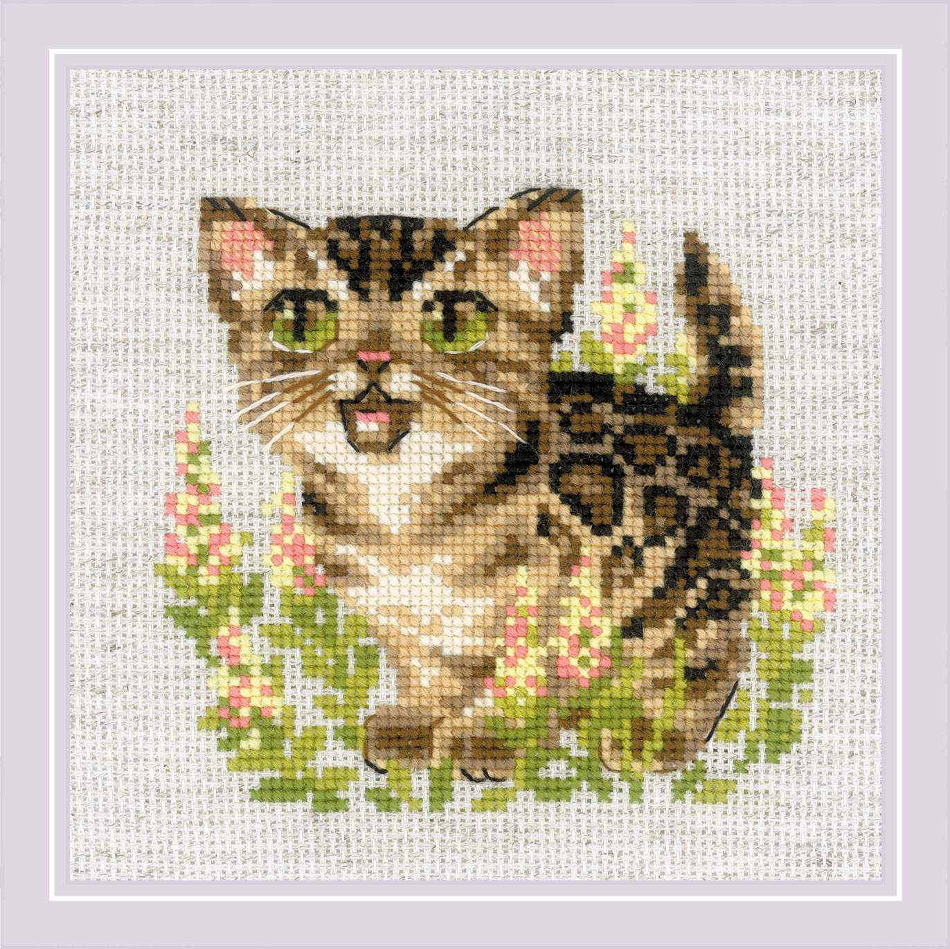 Bengal Kitten - Cross Stitch Kit