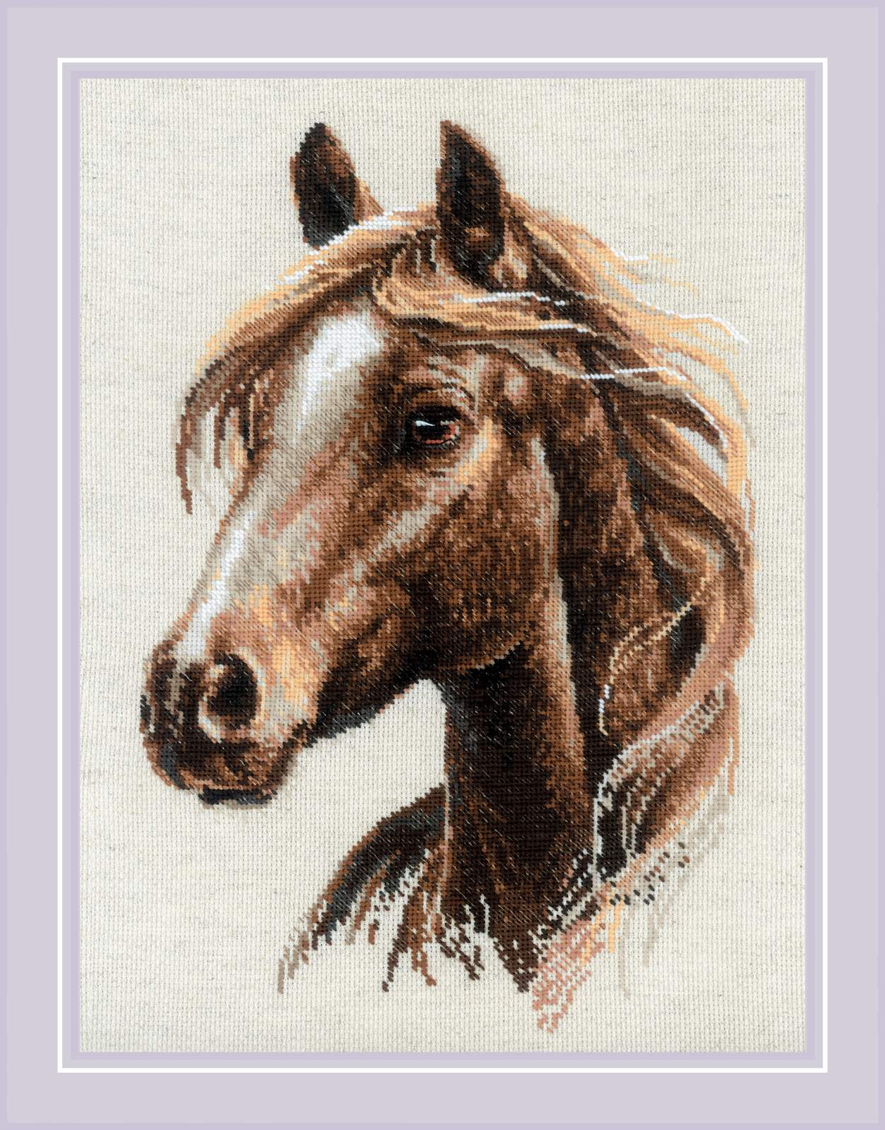 Proud Spirit - Cross Stitch Kit