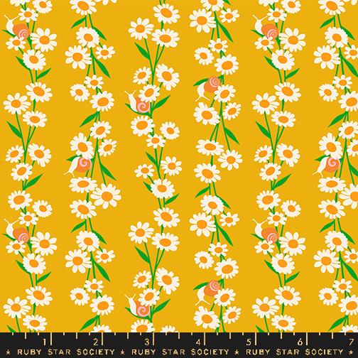 Carousel Daisy - Goldenrod - Quilt Fabric