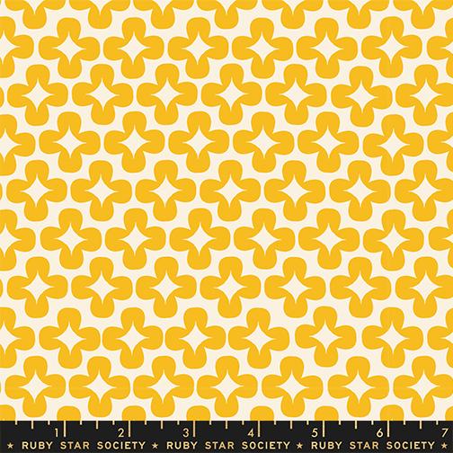 Persimmon Plus Dandelion - Quilt Fabric