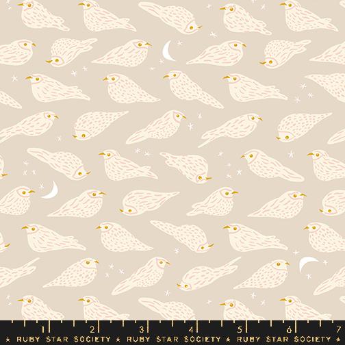Bird Is The Word Sandbox - Quilt Fabric
