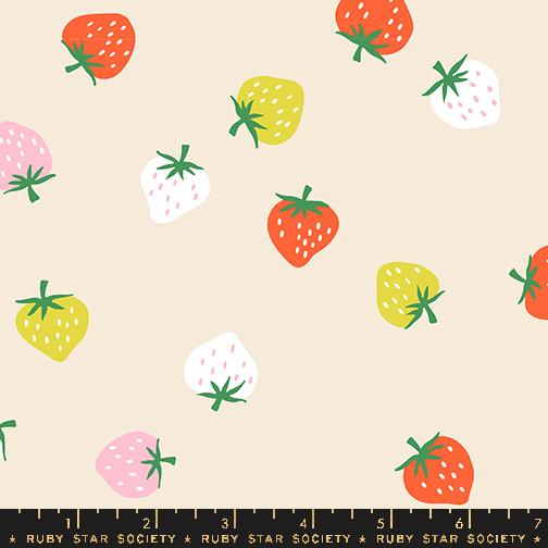 Strawberry Shell - Quilt Fabric