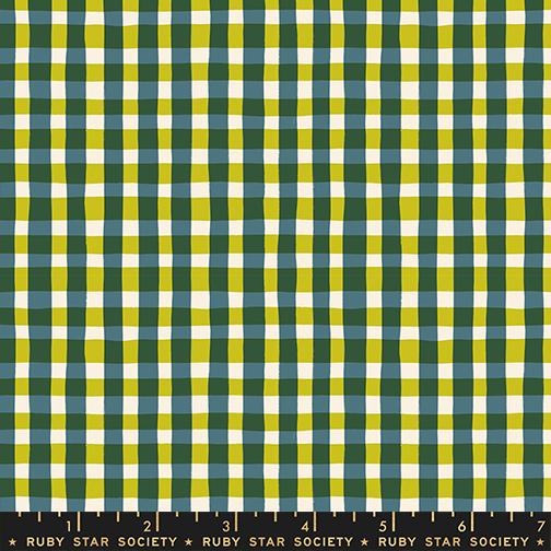 Egg and Friends Gingham Galaxy - Quilt Fabric