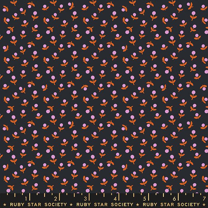 Meadow Star Sprout - Soft Black - Quilt Fabric