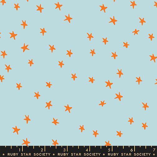 Starry New Polar - Quilt Fabric