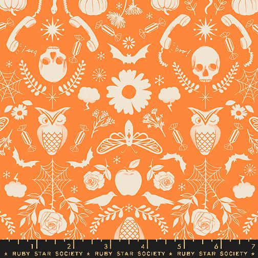 Good Spirits Creepy - Pumpkin - Quilt Fabric