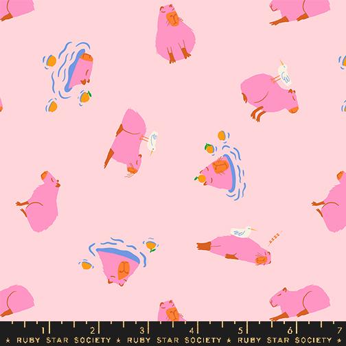 Animal Animal Capybara - Cotton Candy - Quilt Fabric