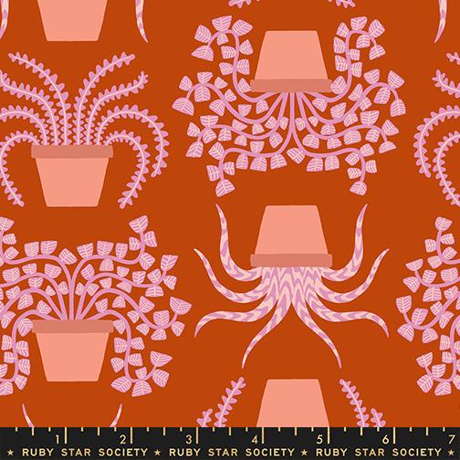 Calathea Houseplant Cayenne - Quilt Fabric