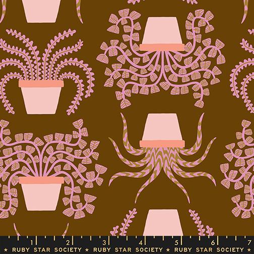 Calathea Houseplant Cocoa - Quilt Fabric