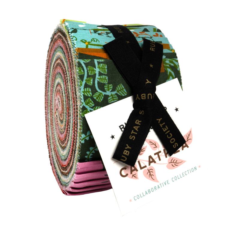 Calathea - Jelly Roll