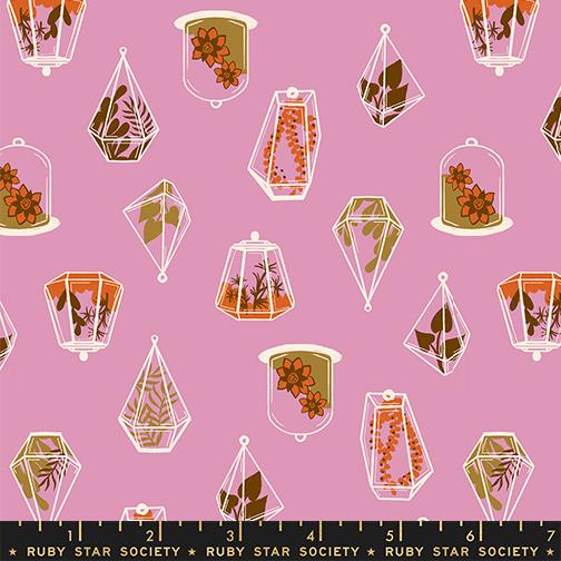 Calathea Terrarium Kiss - Quilt Fabric