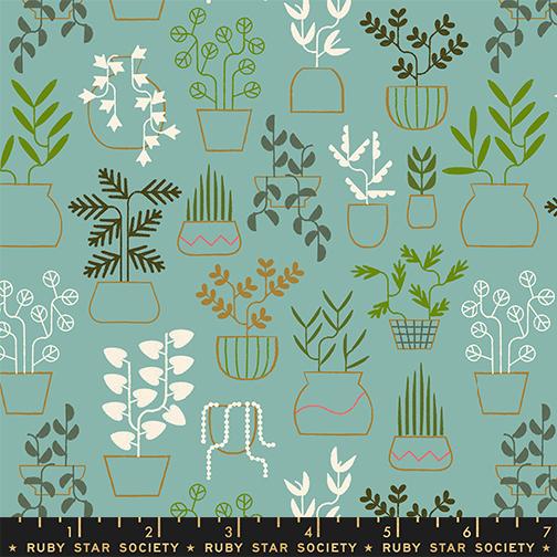 Calathea Potted Plants Water - Quilt Fabric