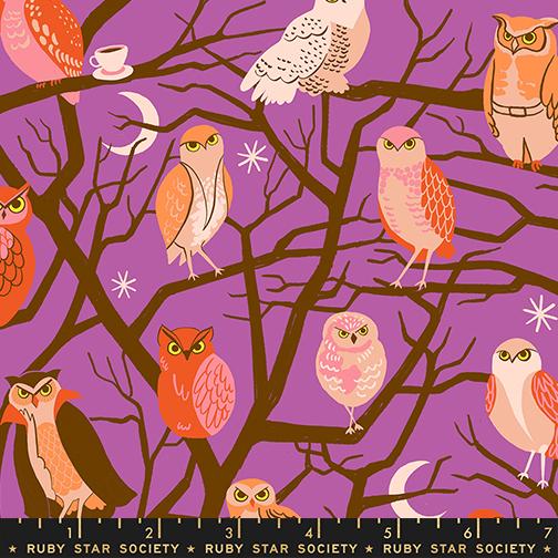 Freaky Familiars Owls Witchy - Quilt Fabric