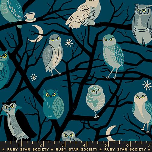 Freaky Familiars Owls Galaxy - Quilt Fabric