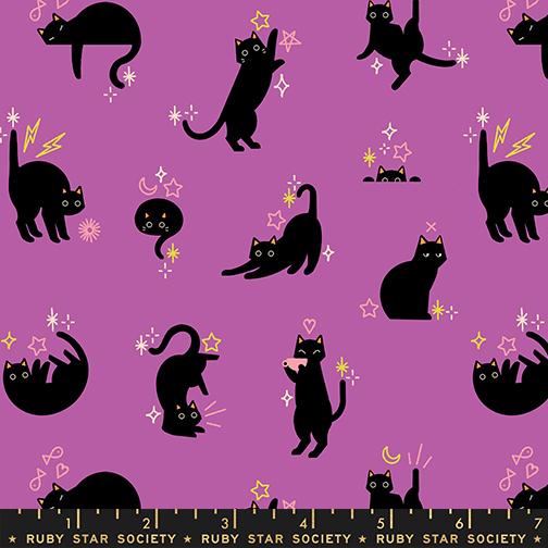Freaky Familiars Cats Witchy - Quilt Fabric
