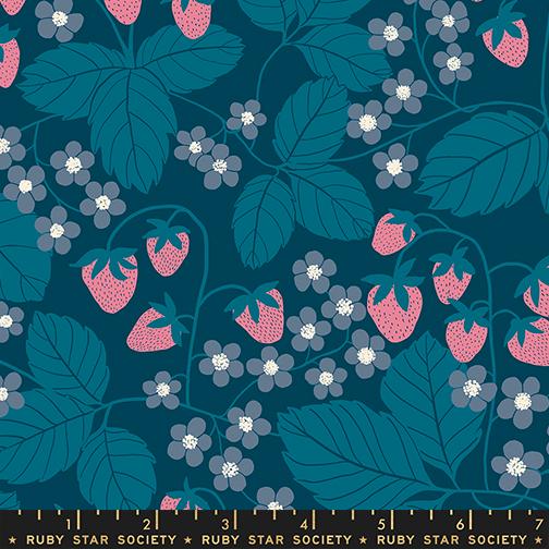 Reimagined Landscapes Berry Galaxy - Quilt Fabric