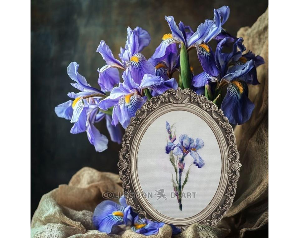 Iris - Cross Stitch Kit