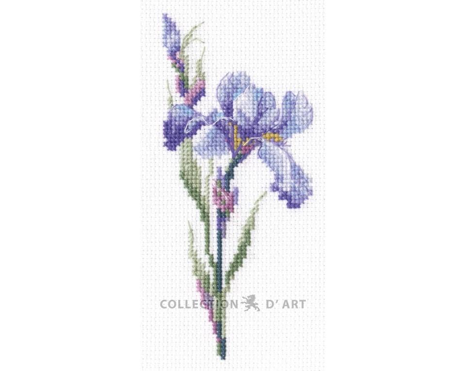 Iris - Cross Stitch Kit