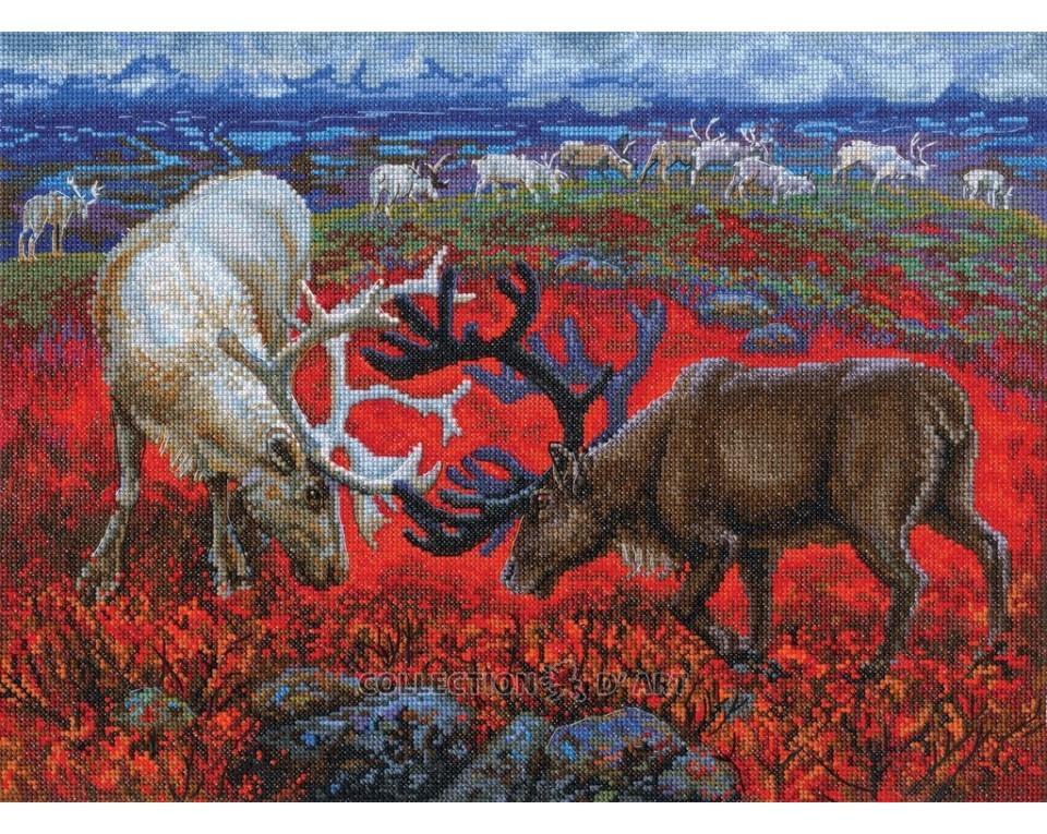 Law Of The Tundra - Cross Stitch Kit