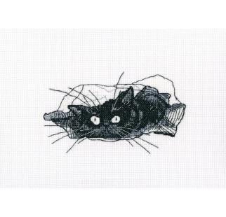 Among Black Cats - Cross Stitch Kit