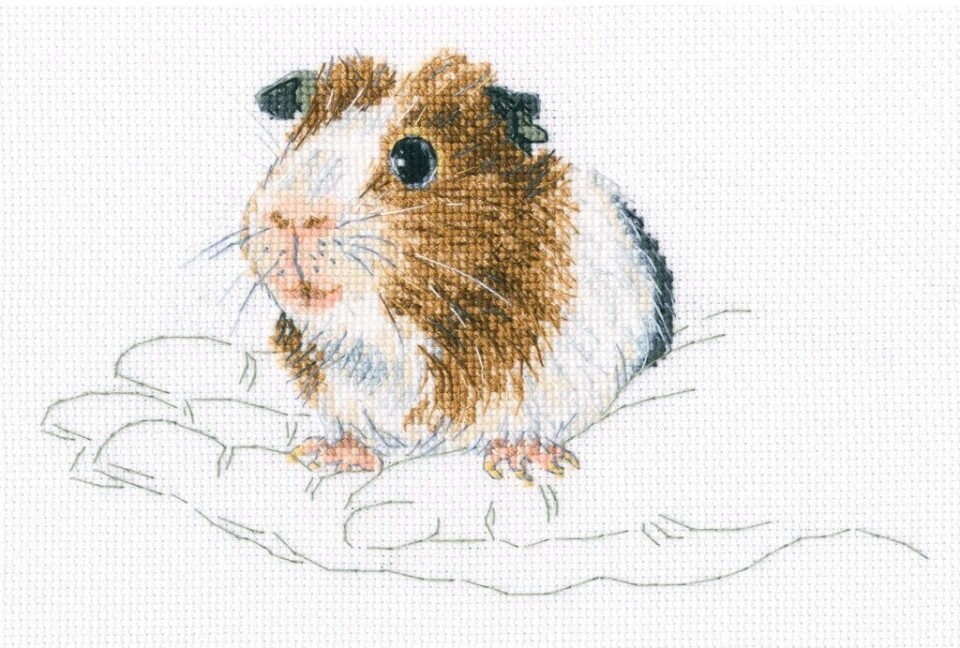 Warmth in Palms 1 - Cross Stitch Kit
