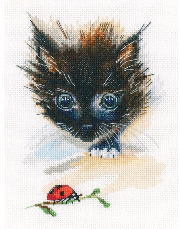 Ladybug and Super-Cat - Cross Stitch Kit