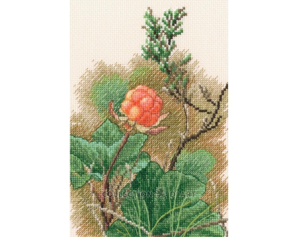 In The Moment - Orange Bud - Cross Stitch Kit