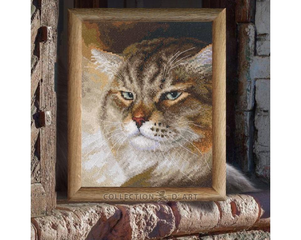 Macho - Cross Stitch Kit