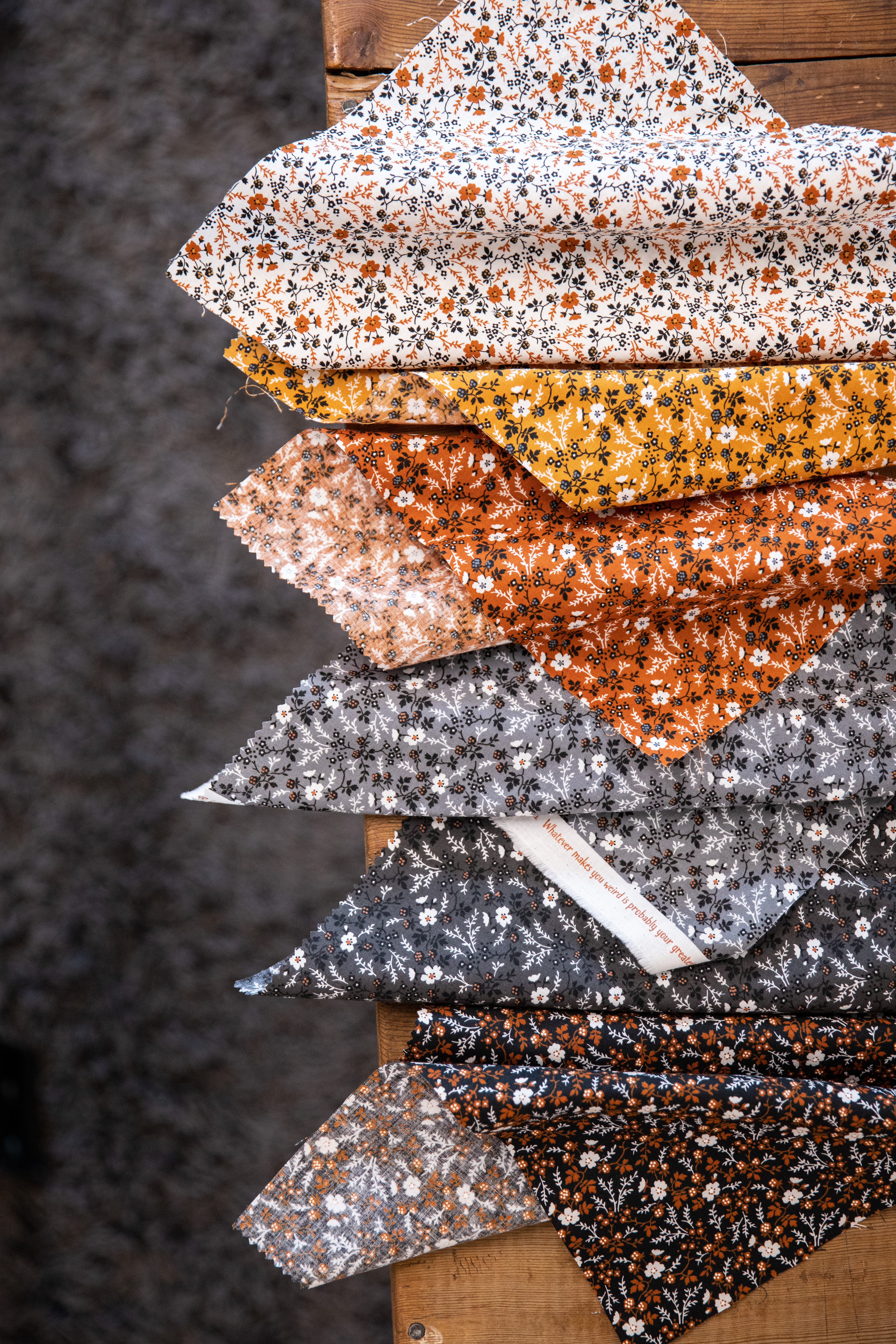 Rustic Gatherings Black Dirt - Pindot Dots - Quilt Fabric