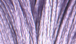 Satin DMC Floss #S211