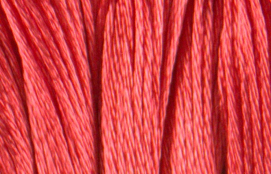 Satin DMC Floss #S351