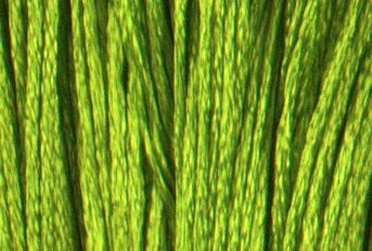 Satin DMC Floss #S471