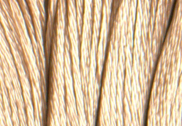 Satin DMC Floss #S738
