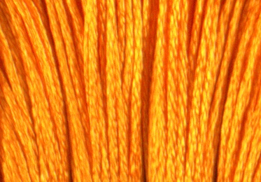 Satin DMC Floss #S741