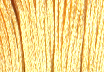 Satin DMC Floss #S744