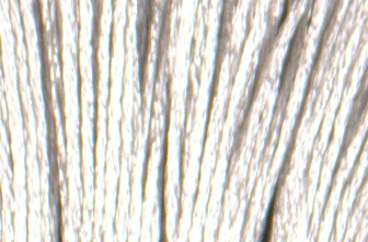Satin DMC Floss #S762