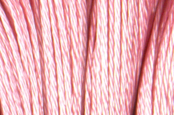 Satin DMC Floss #S776