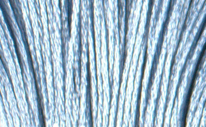Satin DMC Floss #S800