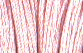 Satin DMC Floss #S818