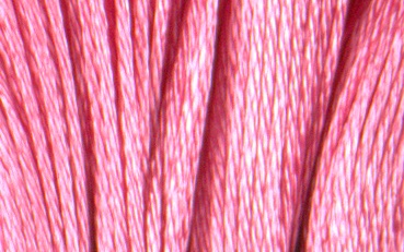 Satin DMC Floss #S899