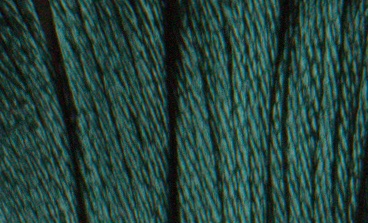 Satin DMC Floss #S991