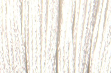 Satin DMC Floss #S5200