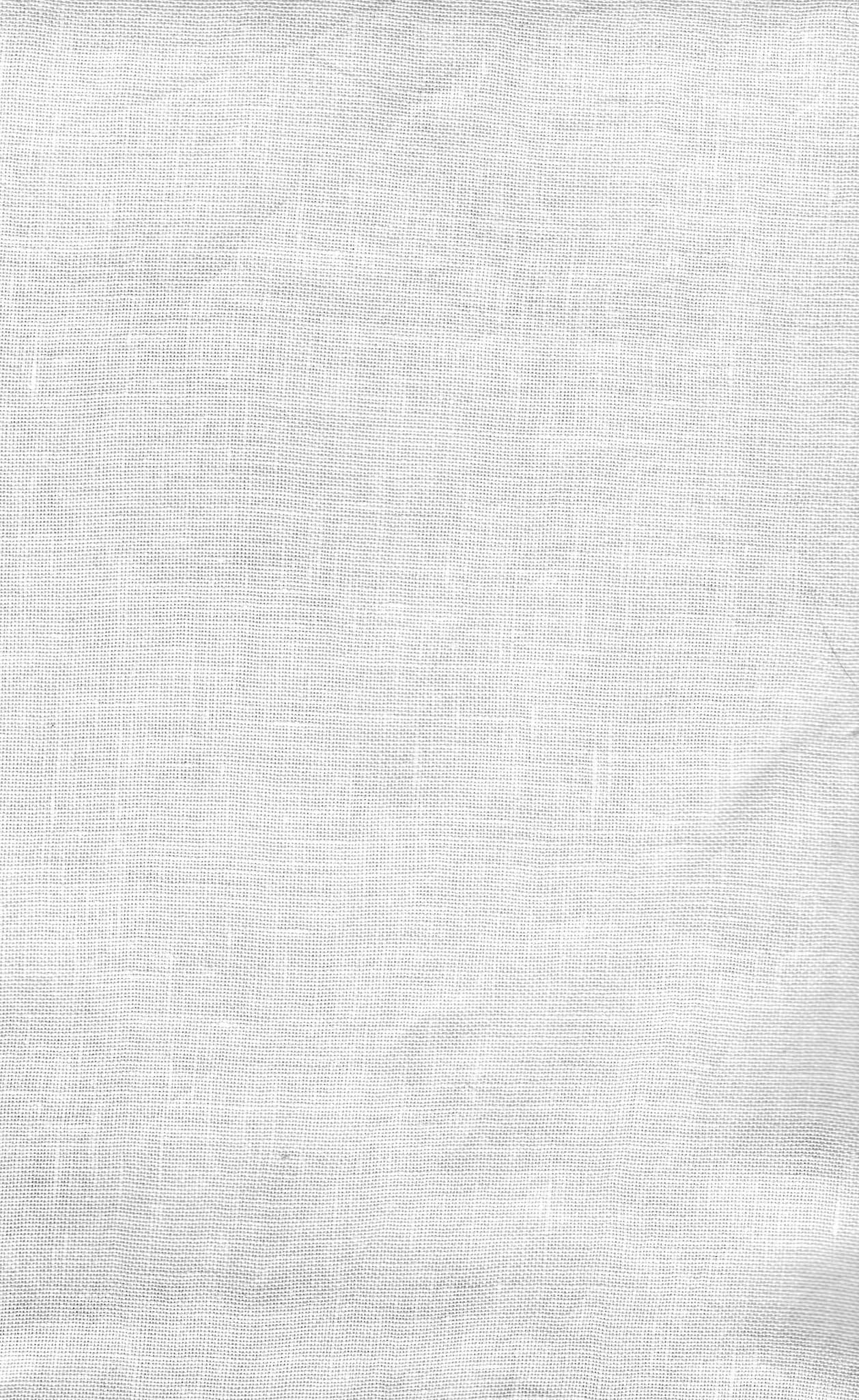 46 Count Finn's Fence Bristol Linen 26x35, zoomed in. Select this picture to zoom back out.