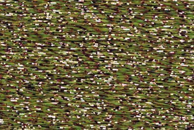 Rainbow Gallery Sparkle Braid - SK38 Moss Green