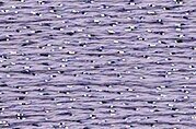 Rainbow Gallery Silk Lame Braid - SL22 Lavender