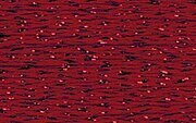 Rainbow Gallery Silk Lame Braid - SL27 Garnet