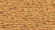 Rainbow Gallery Silk Lame Braid - SL94 True Gold